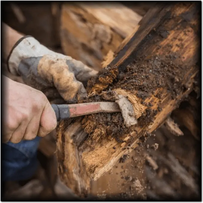Rénovation de charpente Lot-et-Garonne (47)