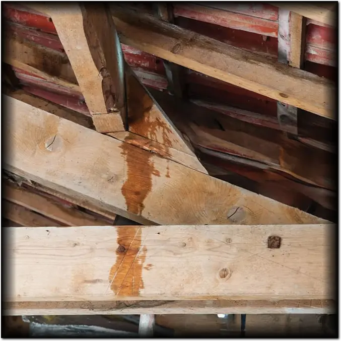 Fuite Toiture Urgence Infiltration d'Eau Couvreur Lot-et-Garonne (47)