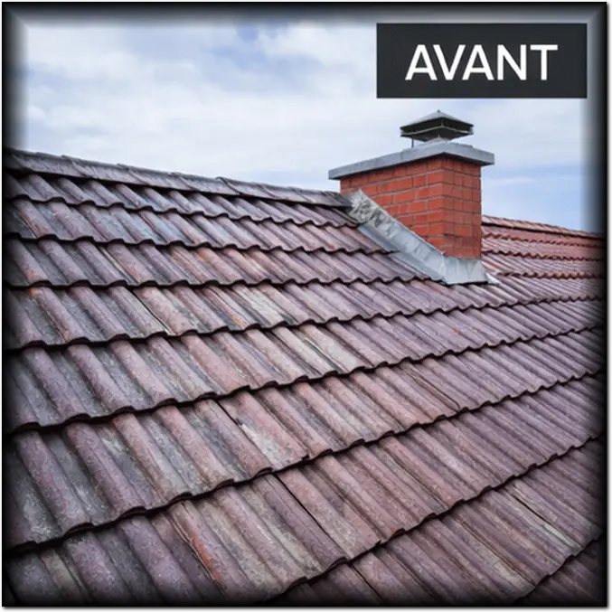 Peinture de toiture Lot-et-Garonne (47)